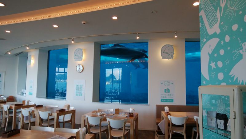 イルカの見えるレストラン　海響館