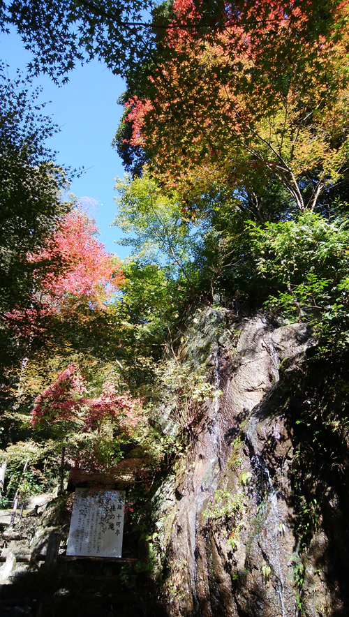 十可苑　2019年11月　紅葉を楽しむ　孫の滝